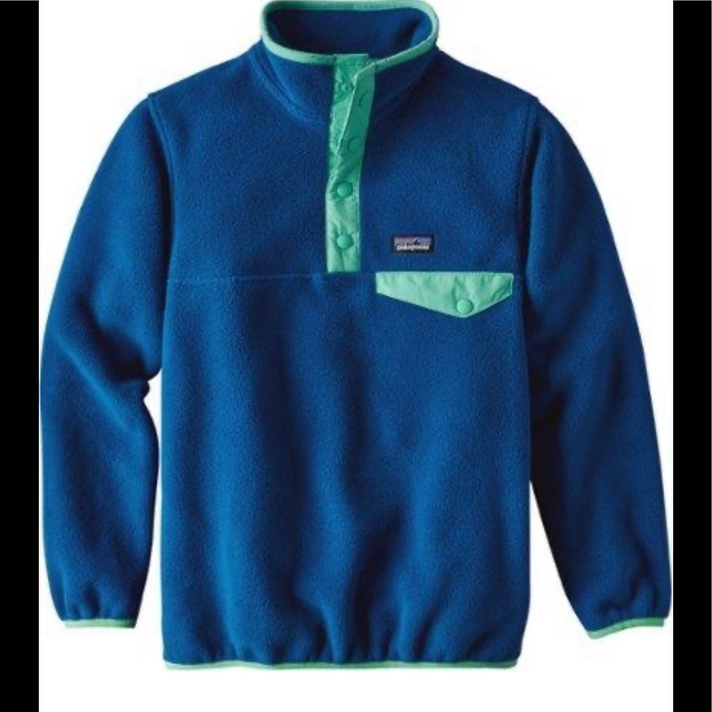 Patagonia Synchilla Pullover